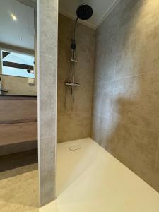 een badkamer met een douche met een douchekop bij Vakantie appartementen Sylsicht in Sexbierum
