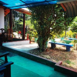 a patio with a tree and a blue bench at City Paradise Dambulla in Dambulla