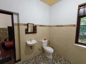 a bathroom with a toilet and a sink at Gosela Homestay in Munduk