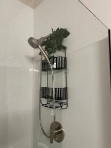 a plant sitting on a shelf in a shower at Retro Retreat in Wauwatosa in Wauwatosa