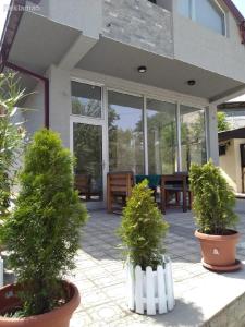 un patio con 2 macetas y una mesa en una casa en Comfortable Slavej Apartment 1, en Sveti Nikole