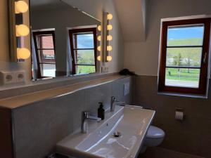 ein Bad mit einem Waschbecken und einem Spiegel in der Unterkunft Landhaus an den Weinbergen in Pfaffenweiler