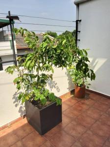 Gallery image of Comfortable & serene stay at Red Rocks villa in Rajagiriya +38 photos