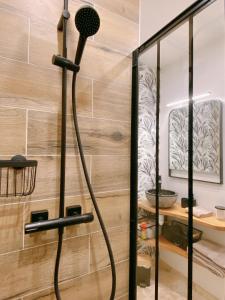 a shower with a microphone in a bathroom at Lisloft Appartement à 5 Min du ZooParc de Beauval, Centre ville Saint-Aignan in Saint-Aignan