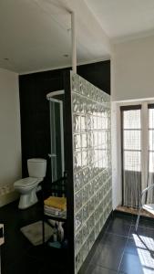 a bathroom with a toilet and a glass wall at La belle des Remparts in Sérignan +11 photos