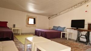 a living room with a bed and a tv at La belle des Remparts in Sérignan