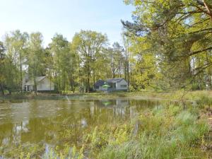 a house by a pond in the woods at Alluring Holiday Home in Limburg near Forest in De Horst