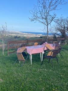 un groupe de tables et de chaises dans l'herbe dans l'établissement Casale san Valentino, à Tavullia
