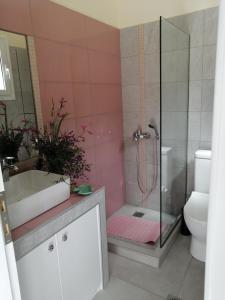 a bathroom with a shower and a sink and a toilet at Altheas Maisonettes in Xylokastron
