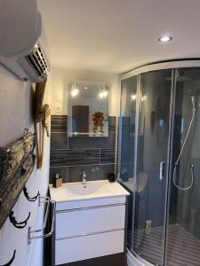 a bathroom with a shower and a sink and a shower at Appartement cocooning a ruaux in Plombières-les-Bains