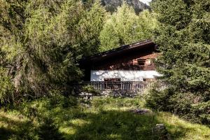 雷西亚Chalet am Reschensee的森林中的小屋