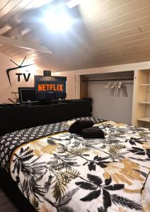 Ce lit se trouve dans un dortoir doté d'une télévision murale. dans l'établissement MAISON COSY 7 minutes des frontières, à Rosenau