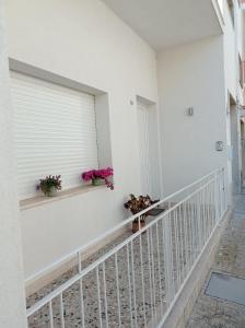 a balcony with two plants and two windows at Casa vacanze Cetto e Vera in Galatina