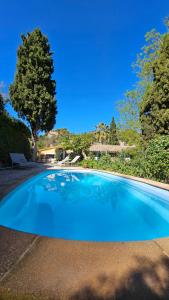 een groot blauw zwembad met een boom op de achtergrond bij Son Niu Vell-La Hermossa in Valldemossa