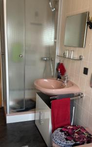 a bathroom with a pink sink and a shower at Ferienwohnung Evelyn und Reinhard Himmler in Pleinfeld