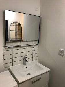 ein Bad mit einem Waschbecken und einem Spiegel in der Unterkunft Little Snug in Toulouse