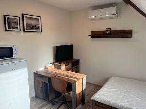 TV a/nebo společenská místnost v ubytování Zlonice - Ubytování 1kk