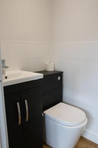 uma casa de banho com um WC branco e um lavatório. em The Live and Let Live em Downham Market