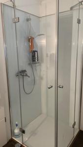 a shower stall with a glass door in a bathroom at Ferienhaus Rolf 