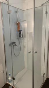 a shower stall with a glass door in a bathroom at Ferienhaus Rolf in Peterswald-Löffelscheid