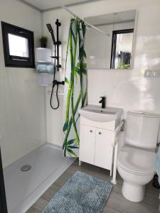 ein Badezimmer mit einem WC, einem Waschbecken und einem Spiegel in der Unterkunft Ferienwohnung auf dem See in Neuruppin