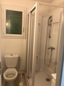 a small bathroom with a toilet and a shower at MAISON Au LAC DU DER '' LES COCCINELLES 41 '' in Giffaumont