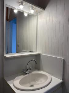 a bathroom with a sink and a mirror at MAISON Au LAC DU DER '' LES COCCINELLES 41 '' in Giffaumont