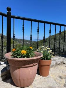 dos grandes macetas de flores sentadas en un balcón en Orange Apartments, en Epáno Epídhavros