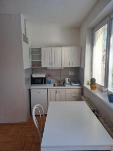 Kuchyň nebo kuchyňský kout v ubytování apartmán s krbem + 5 fotografií