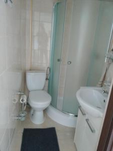 a bathroom with a toilet and a shower and a sink at Motel Królowej Jadwigi Alicja Szymańska-Pokoje na Ogrodowej in Sandomierz