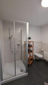 諾伊霍夫安德澤恩的住宿－Ferienwohnung im Zenngrund，带淋浴和卫生间的浴室
