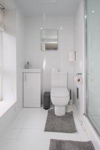 a white bathroom with a toilet and a shower at Riverview Apartment in Glasgow