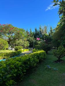 a garden with green bushes and a walk way at Twin Villa Village Đà Lạt in Da Lat
