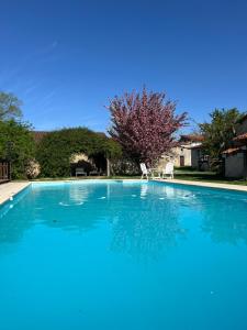 una gran piscina azul con 2 sillas blancas en Cosy apartment with swimming pool near Aubeterre, en Saint-Romain