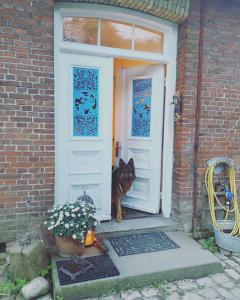 a dog standing in the door of a house at Vierländer Hippiehof in Hamburg