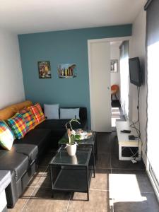 ein Wohnzimmer mit einem schwarzen Sofa und einer blauen Wand in der Unterkunft Cocoloclouvigny in Louvigny