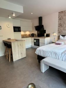 a large bedroom with a bed and a kitchen at Studio de l'Avenue in Spa