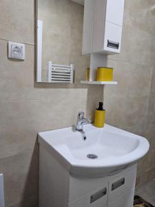 une salle de bain avec un lavabo blanc et un miroir dans l'établissement Slatkiš Sweet, à Banja Koviljača