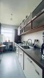 een keuken met een wastafel en een aanrecht bij ApartmentInCopenhagen Apartment 1602 in Kopenhagen