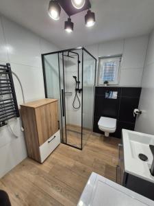 y baño con ducha, aseo y lavamanos. en Zatoka Apartamenty en Władysławowo