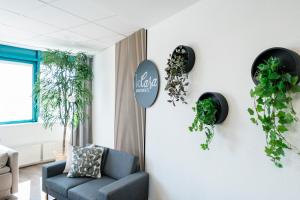 ein Wohnzimmer mit einem blauen Sofa und Pflanzen an der Wand in der Unterkunft koCASA-Apartments, Penthouse, Panorama, Dachterrasse, zwei Stellplätze, Wifi, Waipu-Tv, Billard in Karlsruhe