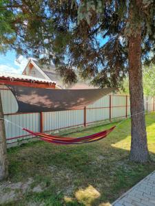 a hammock tied to a tree in a yard at Habitat of Dreams in Makó