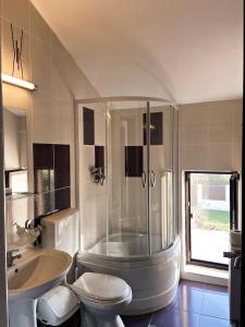 La salle de bains est pourvue d'une douche, de toilettes et d'un lavabo. dans l'établissement Pensiunea Antonio, à Pietrari