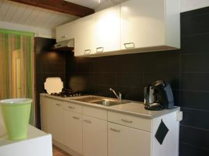 een kleine keuken met een wastafel en een fornuis bij Tidy chalet with a microwave in the Achterhoek in Ootmarsum