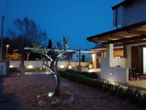 una casa con un árbol en el patio por la noche en Tenuta Vallina - Golfo di Policastro en Tortorella