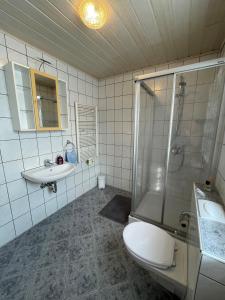 uma casa de banho com um WC, um lavatório e um chuveiro em Ferienwohnungen Schiffmann em Pressath