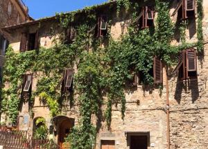 カンピーリア・マリッティマにあるLa Piazzetta Toscana B&Bの蔦が生える古い石造りの建物