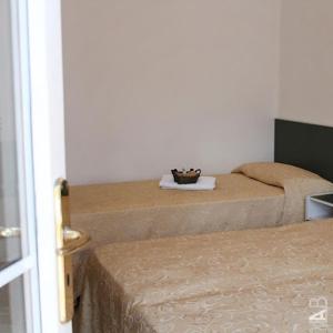 um quarto com duas camas e um gato sentado numa toalha em hotel Plaza em Cesenatico