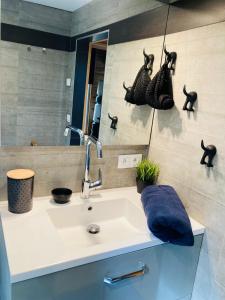 La salle de bains est pourvue d'un lavabo et d'un miroir. dans l'établissement Woody Lodge - Duplex Nature Bonsoy Ardennes, à Hastière-par-delà