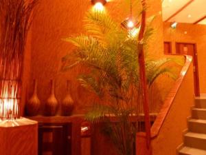 Fotografie z fotogalerie ubytování Kactus Lodge v destinaci Pointe-Noire